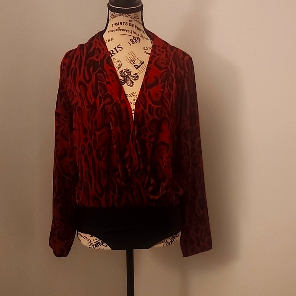 ZARA long sleeved body shirt